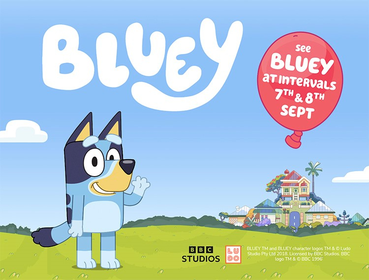 Bluey & Bingo