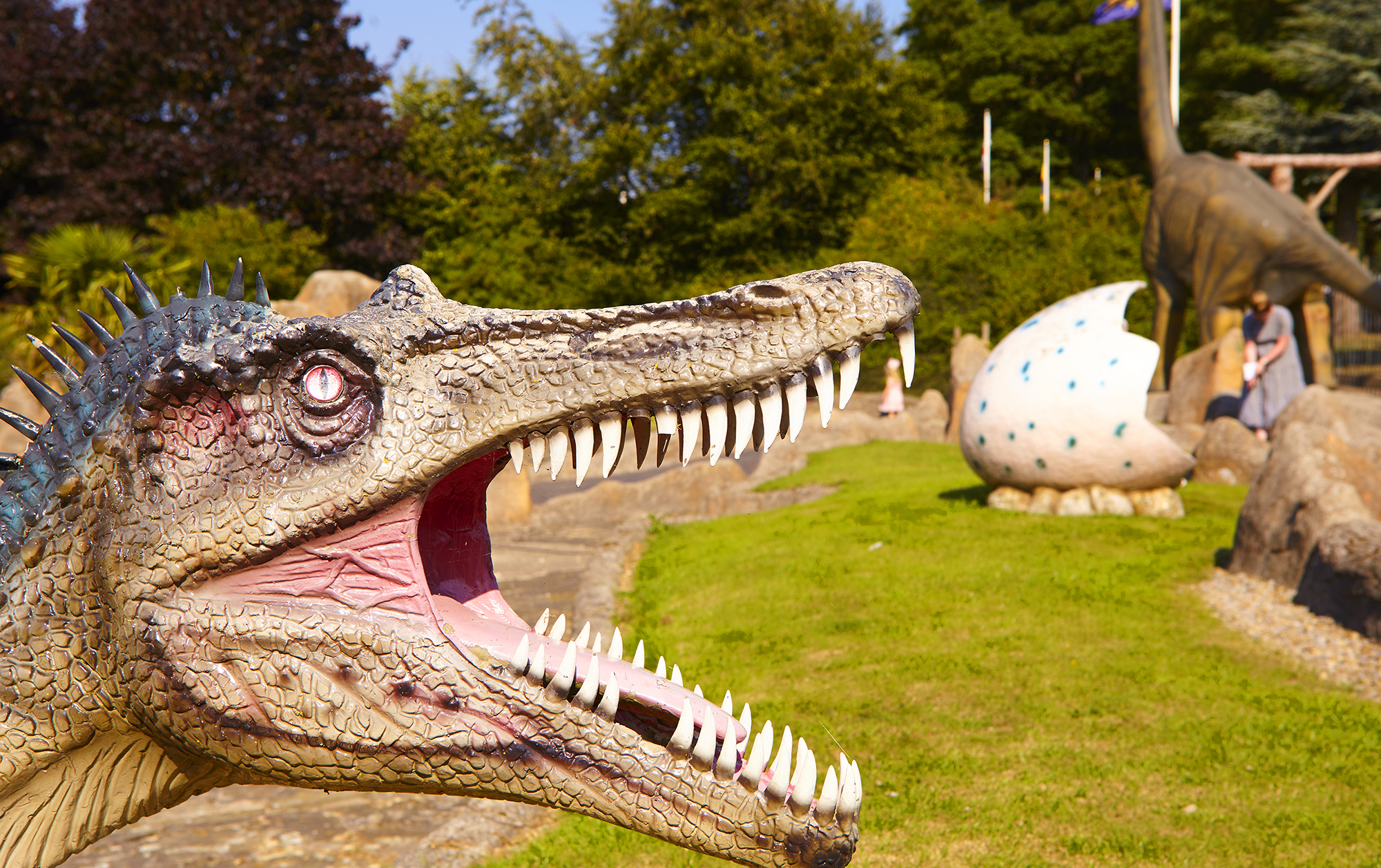 New Era for Lightwater Valley Family Adventure Park - Lightwater Valley ...